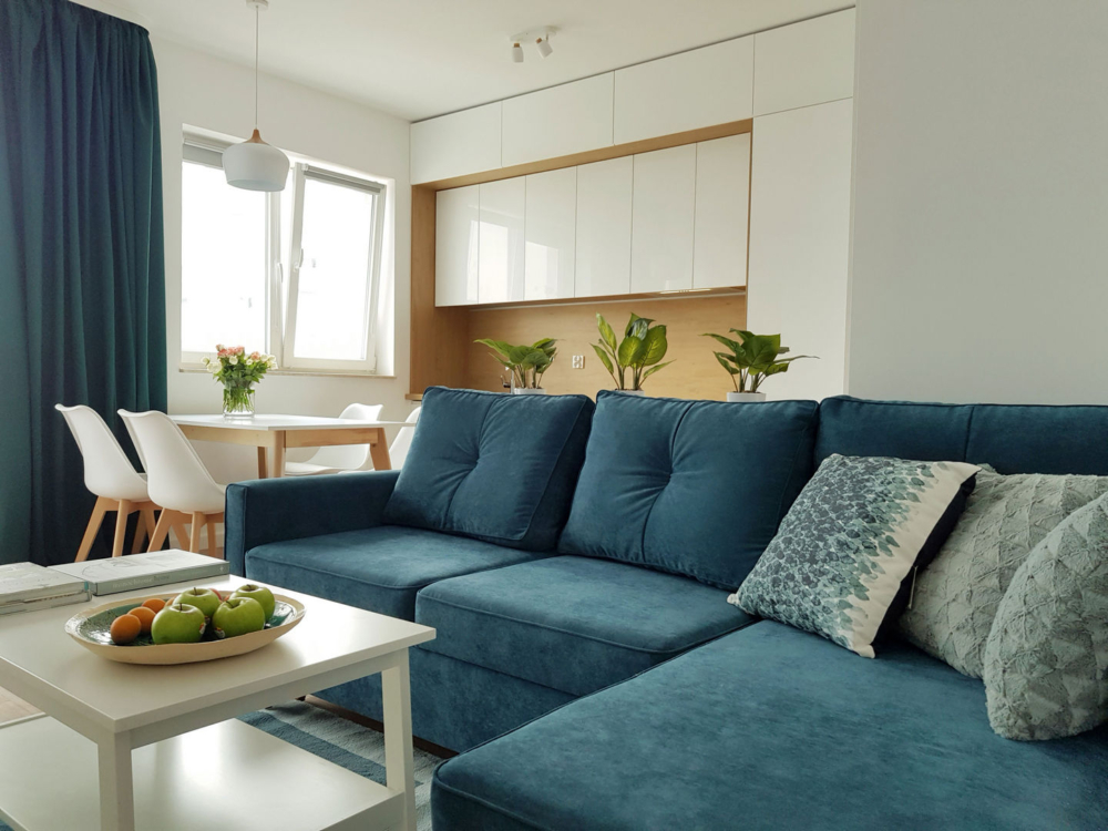 Mieszkanie na wynajem_salon wid 4