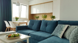 Mieszkanie na wynajem_salon wid 4